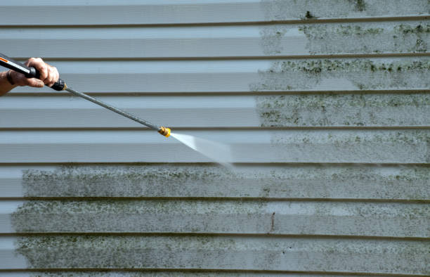 Best Attic Mold Removal  in Columbiana, AL
