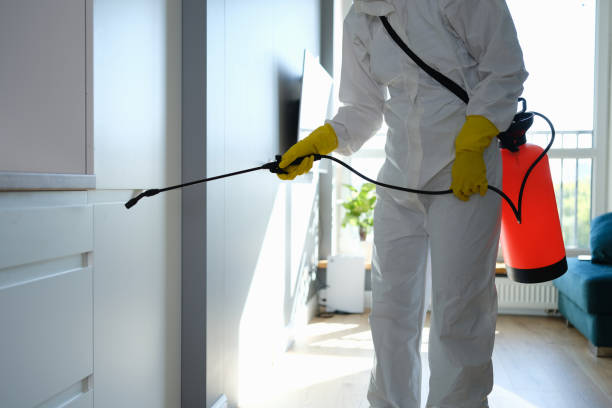 Best Local Mold Removal Service  in Columbiana, AL