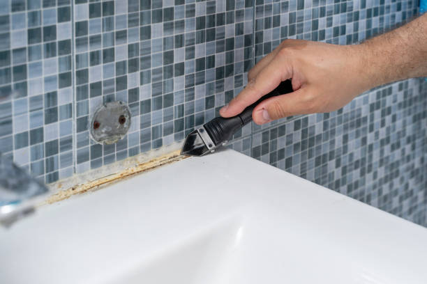 Best Office Mold Removal Services  in Columbiana, AL