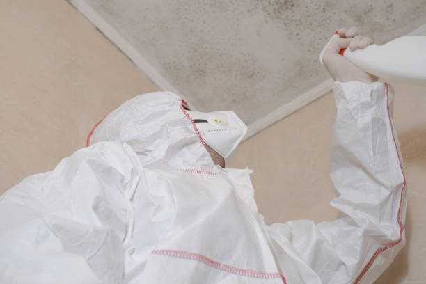 Trusted Columbiana, AL Mold Removal Experts