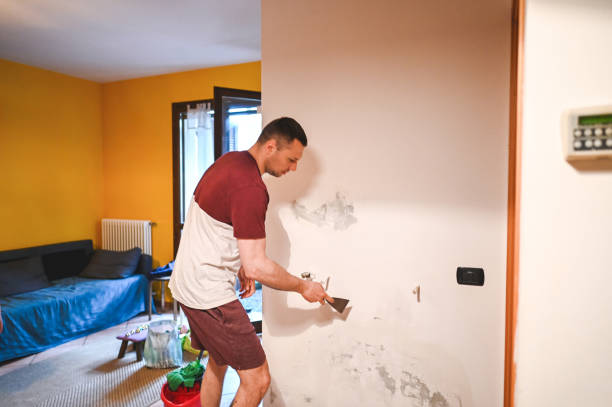 Best Mold Damage Repair  in Columbiana, AL